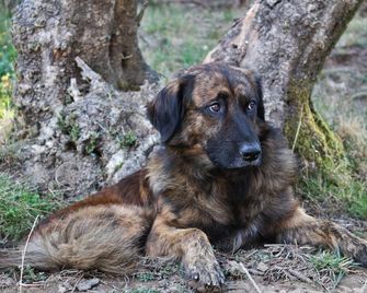 Quintinha D`Arga, Hotel rural no sopé da Serra d`Arga - Caminha