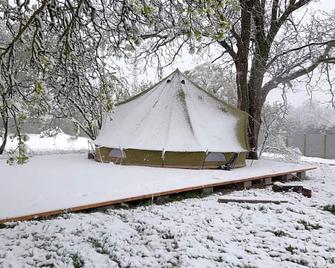Belltent Savica - Zagreb