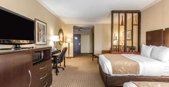 Comfort Suites Lawton Near Fort Sill - Lawton - Schlafzimmer