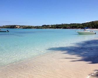 Exclusive Beachfront - Villa Isabela - Playa