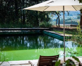 Beautiful villa for 4 guests with pool, WIFI, TV, patio and panoramic view, close to Florence - Scandicci - Piscine