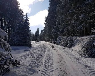 Winterberg-schmallenberg-bödefeld Wohnung mit Balkon und Toller Aussicht - Schmallenberg - Property amenity