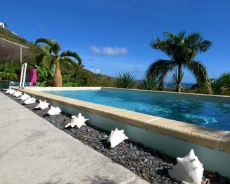 Paradise Solitude, Gated, private home with pool and ocean views! - Christiansted - Pool