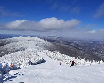 Beautiful Fayston/Waitsfield Home Close To Sugarbush, Mrg Slopes, Catamount XC - Waitsfield - Servicio de la propiedad