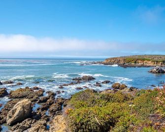 Best Location And Pet-Friendly! Just Steps Away From Fiscalini Ranch! - Cambria - Beach