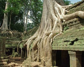 The Siem Reap Chilled Backpacker - Siem Reap