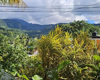 Jalousie Lodge Adorable Property in Beautiful Trafalgar Perfect for Relaxing - Trafalgar - Vista del exterior