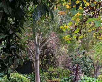 Wild Olive Cottage Clare Valley - Auburn - Buiten zicht