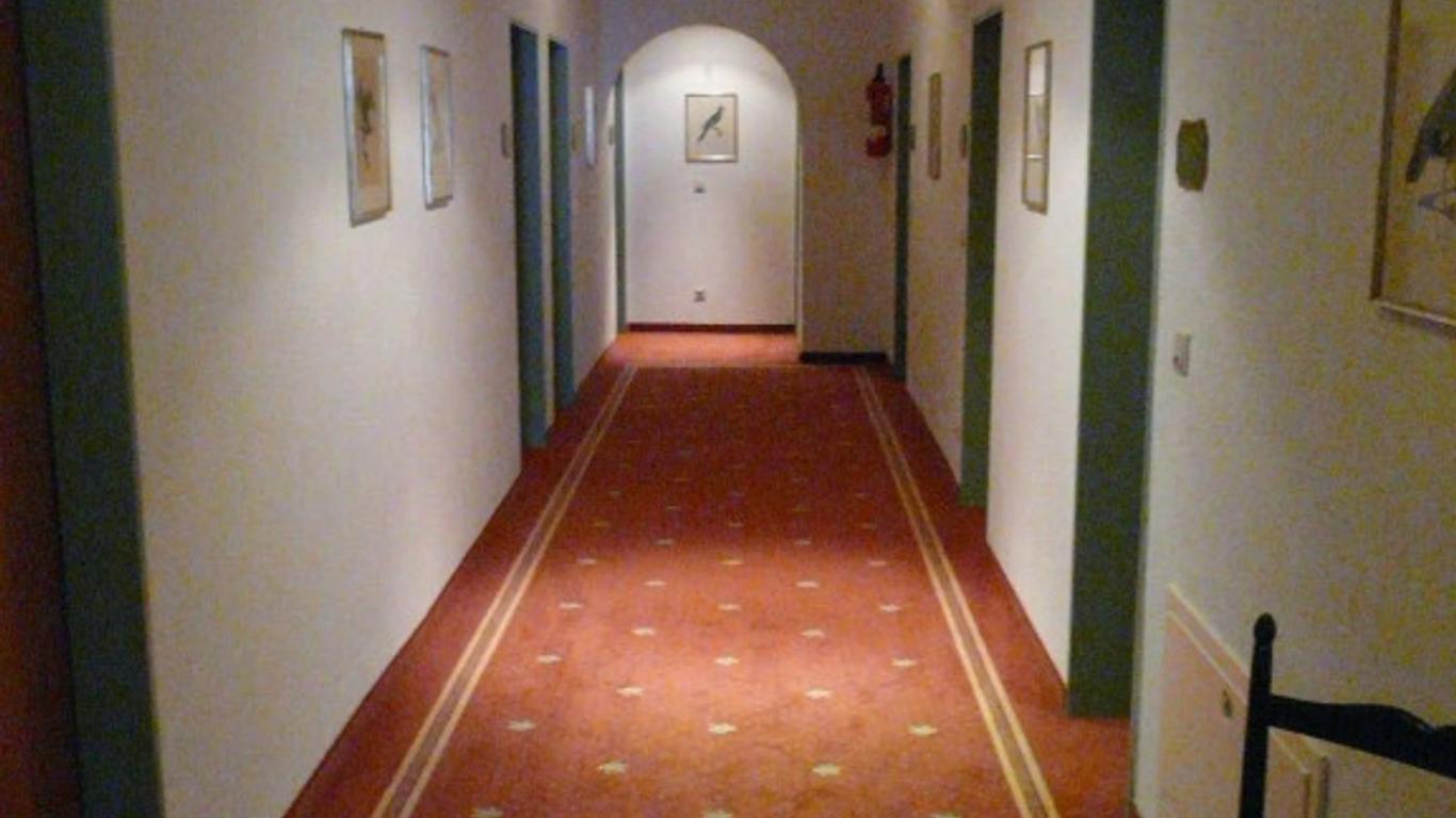 羅特爾翰酒店 - 加米許 - 帕騰基興