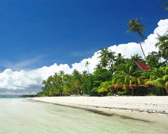 Miles Yce Bamboo House - Panglao - Beach