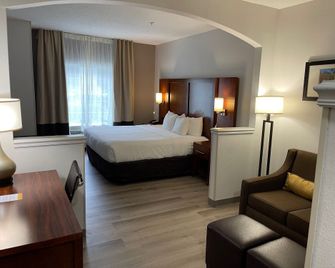 Comfort Suites Salisbury I-85 - Salisbury - Спальня