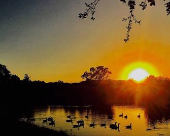 Luxury Lakeside Retreat, Sleeps 6 - Paso Robles - Outdoors view