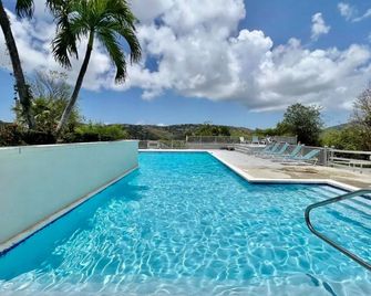 2 Bedroom 2 Bathroom Condo Stunning Ocean Views in a Guarded Community - Saint Thomas Island - Piscina
