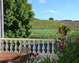 cottage in lush greenery. - Saint-Hilaire-de-Villefranche - Balcon