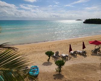 Trela Sands in Eleuthera Bahamas 3 Bedroom Unit right on the beach - North Palmetto Point - Beach