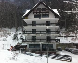 Vila Zenobia - Predeal - Building