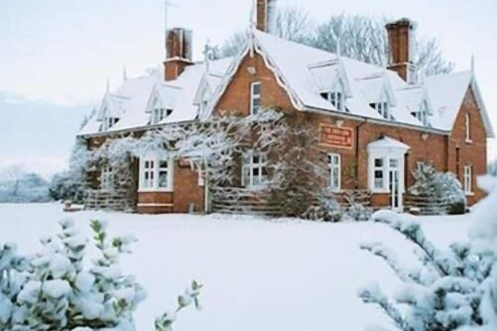 ذا ريد لايون