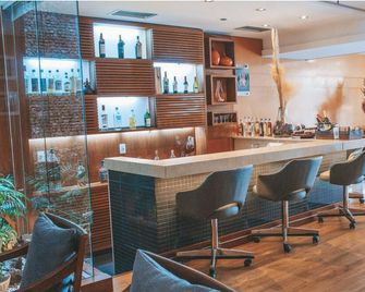 Hotel Habitare - Nova Friburgo - Bar