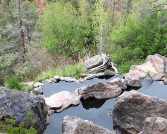 'The Pines' Is The Perfect Log Cabin Getaway In The Beautiful Jemez Mtns. - Jemez Springs - Outdoors view