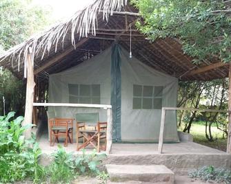 Enchoro Wildlife Camp Masai Mara Tented Accommodation - Narok - Patio