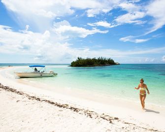 Green Turtle Club Resort & Marina - Green Turtle Cay - חוף