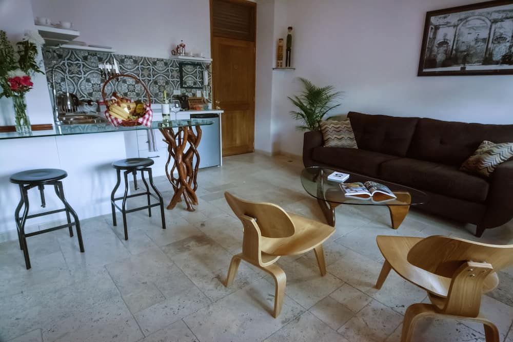 Beautiful boutique Apart-hotel-views and service(Casco Antiguo) - بنما سيتي (بنما) - غرفة معيشة