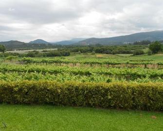 Casa Vilarelho - Caminha