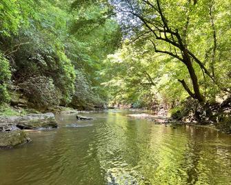 Magnolia Cabin | Wifi & River Access - Elkin