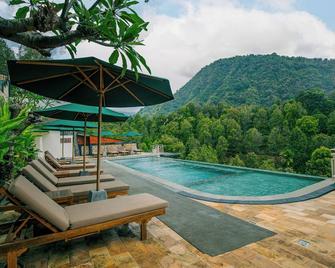 Munduk Kupang Sekumpul Villa - Sawan - Piscina