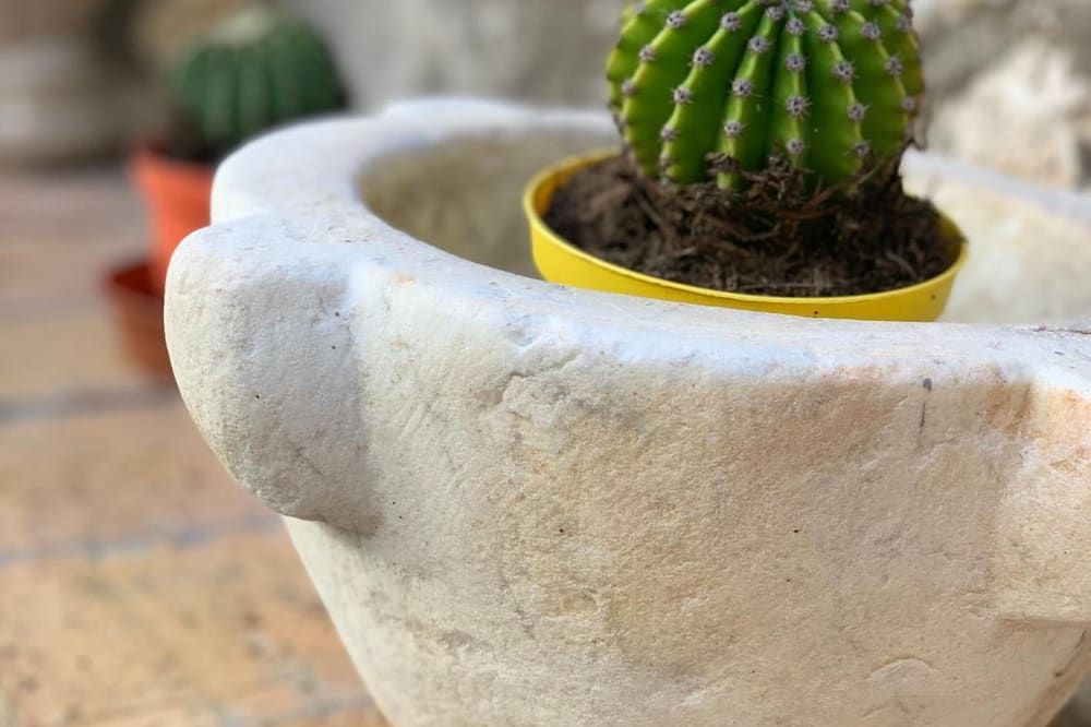 Hedera Capri B&B - אנאקאפרי - מסעדה