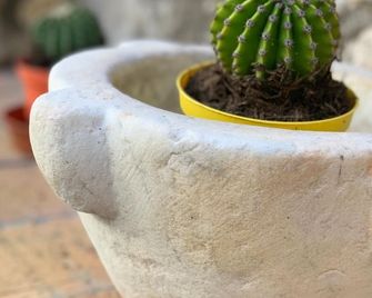 Hedera Capri B&B - אנאקאפרי - מסעדה