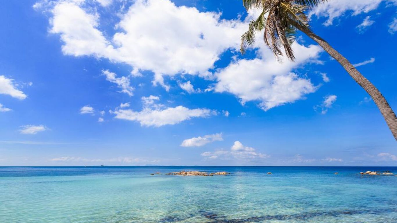 Beyond The Blue Horizon Boutique Bungalows