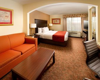 Comfort Suites Chantilly - Dulles Airport - Chantilly - Slaapkamer