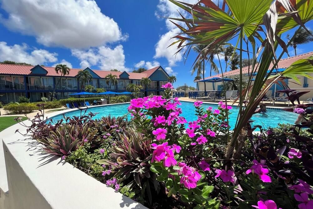 Divi Flamingo Beach Resort & Casino - קרלנדיק - בריכה