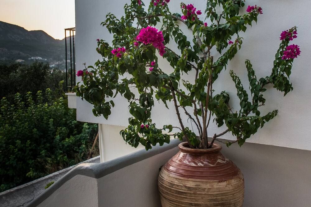 Villa Maria - Kokkari