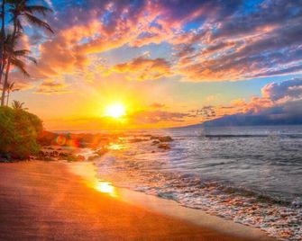 Surfers Paradise! - Haleiwa - Playa