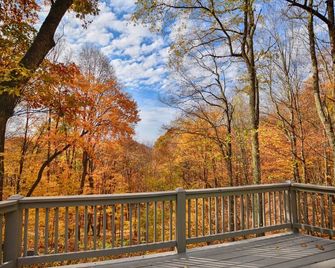 Mountain Top Cabin in Wolf Laurel, just North of Asheville - Mars Hill - Balcony