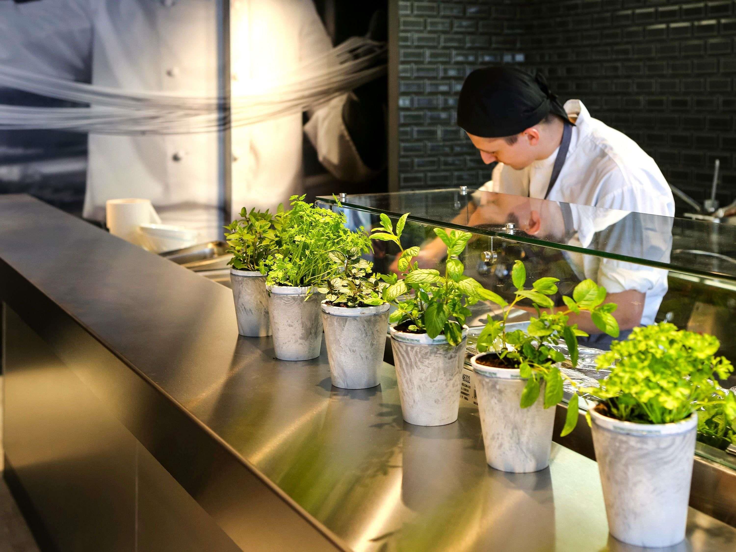 إيبيس إي أون بروفينس - ايكس-أن-بروفانس - مطعم