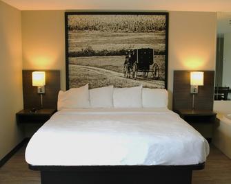 Boarders Inn & Suites by Cobblestone Hotels - Lamar - Habitación