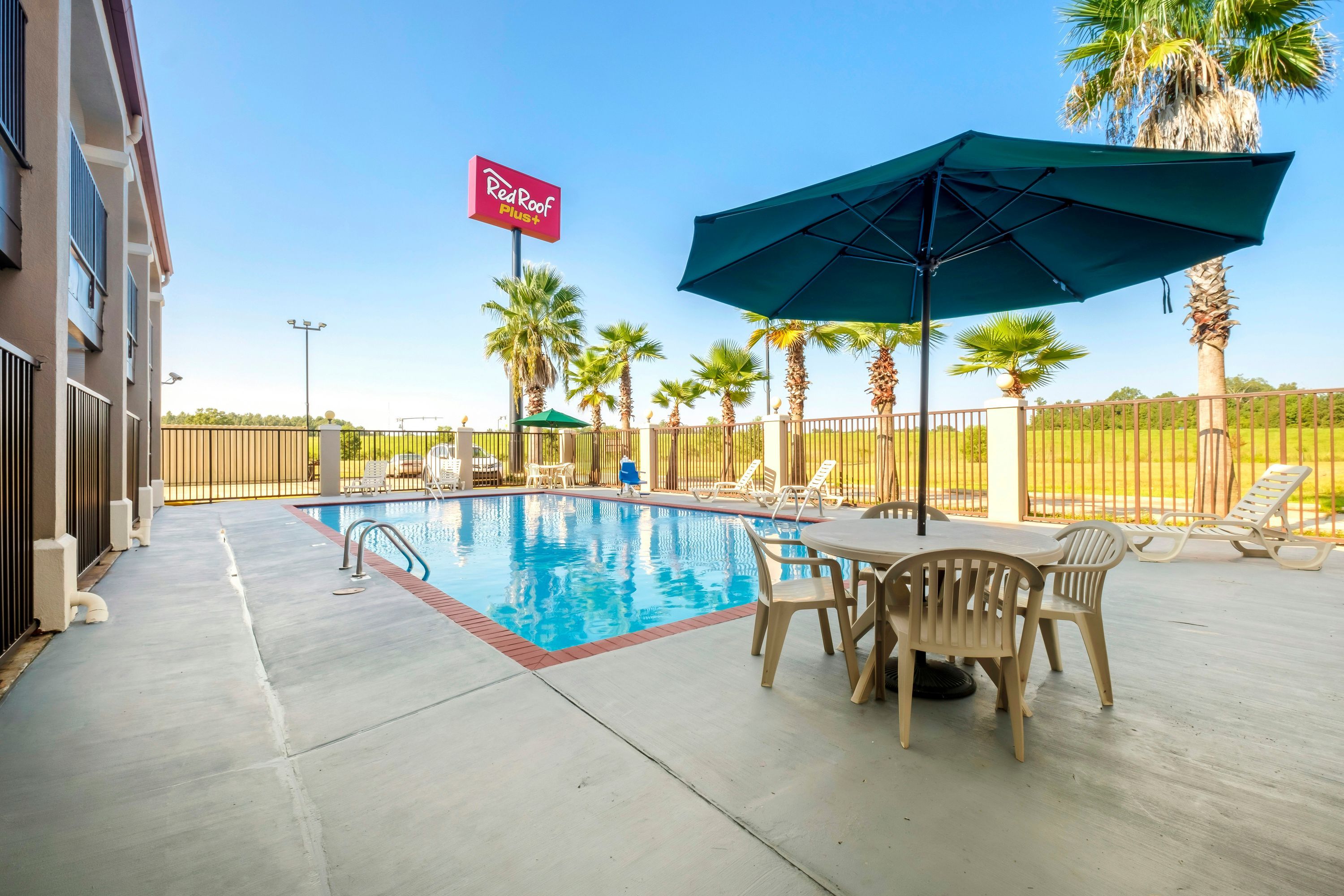 Red Roof Inn Plus+ Hammond - Hammond - Piscina
