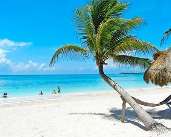 Naturally well-lit spacious, 2 bedroom/ 1 bath\t Sleeps 4 - Playa del Carmen - Playa