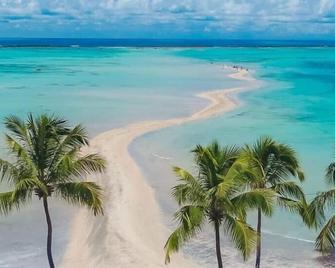 Nova Costeira da Barra - Maragogi - Beach