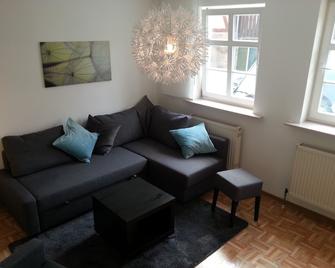 Apartment, Ground Floor 70sqm, 2zkb Bathroom With Bathtub, 5 Beds - Bad Arolsen - Living room