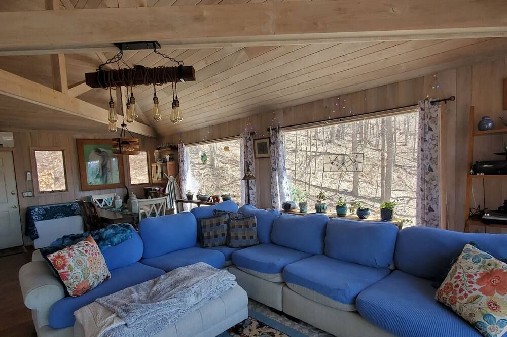 Living room view of Treehouse Cathedral In Blue Ridge Mounta