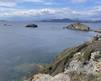 Studio - הייר - חוף