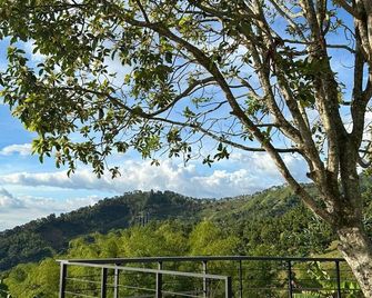 Arewá Biohabitat - Buenavista - Vista del exterior