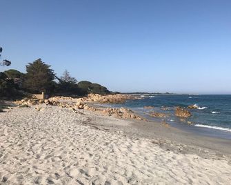Pine Cone Direct Access To The Beach ( No Wifi ) Cin It091063c2000s5156 - Cala Liberotto - Beach