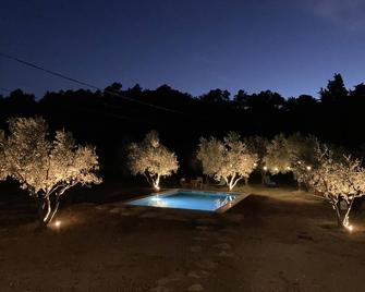 La Grange des oliviers - Taulignan - Piscina