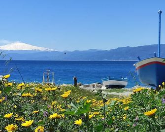 Abacus - Reggio Calabria