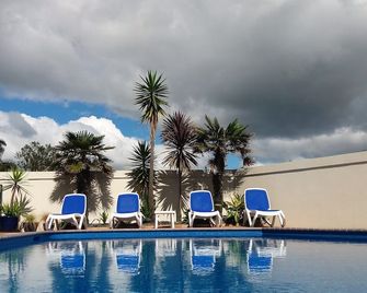 Bay Palm Motel - Mount Maunganui - Piscine